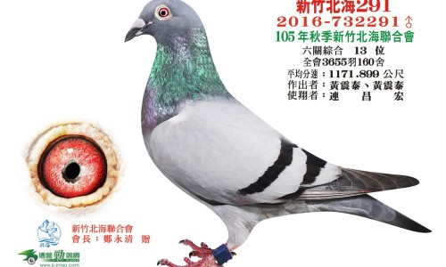 离子烫后的效果-离子烫详细操作步骤,中国离子烫是什么效果图网站