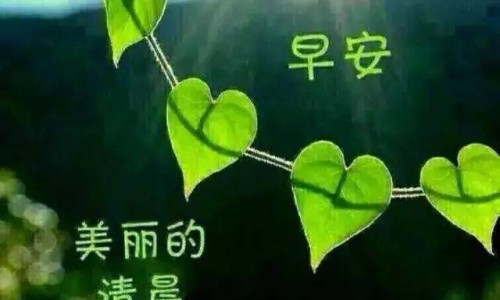 离子烫是啥-离子烫后的效果-离子烫详细操作步骤,中国离子烫是什么效果图网站