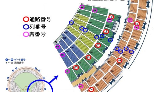 离子烫是什么意思-离子烫后的效果-离子烫详细操作步骤,中国离子烫是什么效果图网站